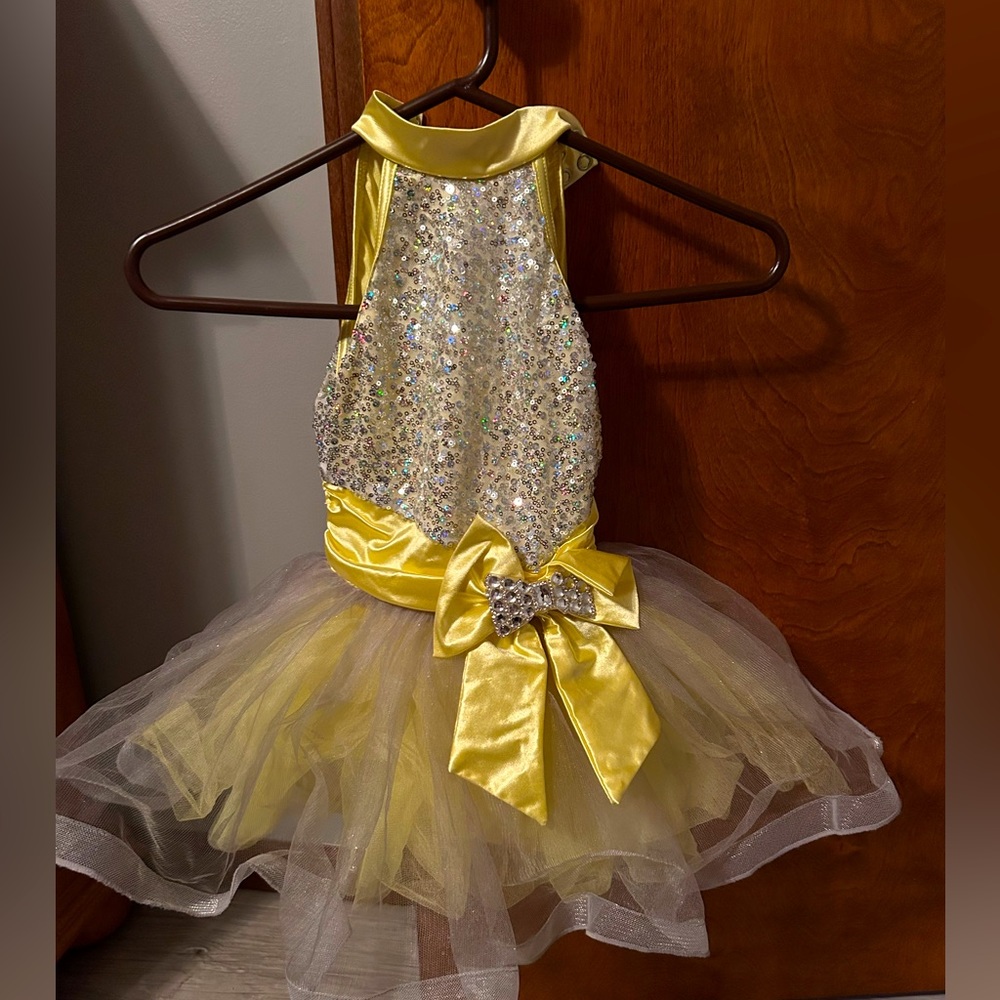 Girls 3t costume dress